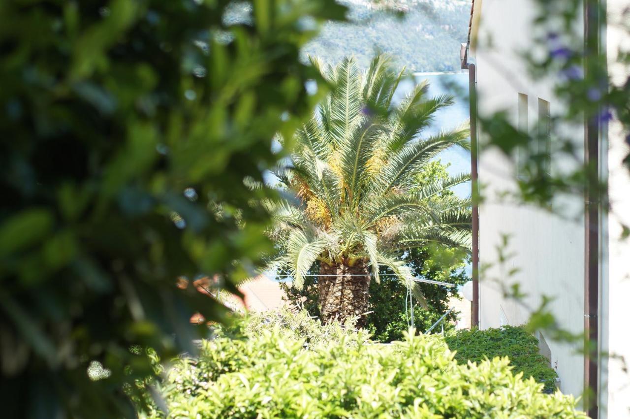 Oasis Blue Apartment Korčula Екстериор снимка